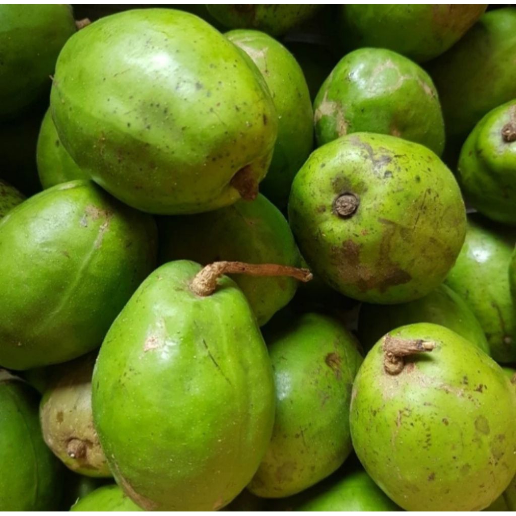 

Buah Kedondong Segar 1kg