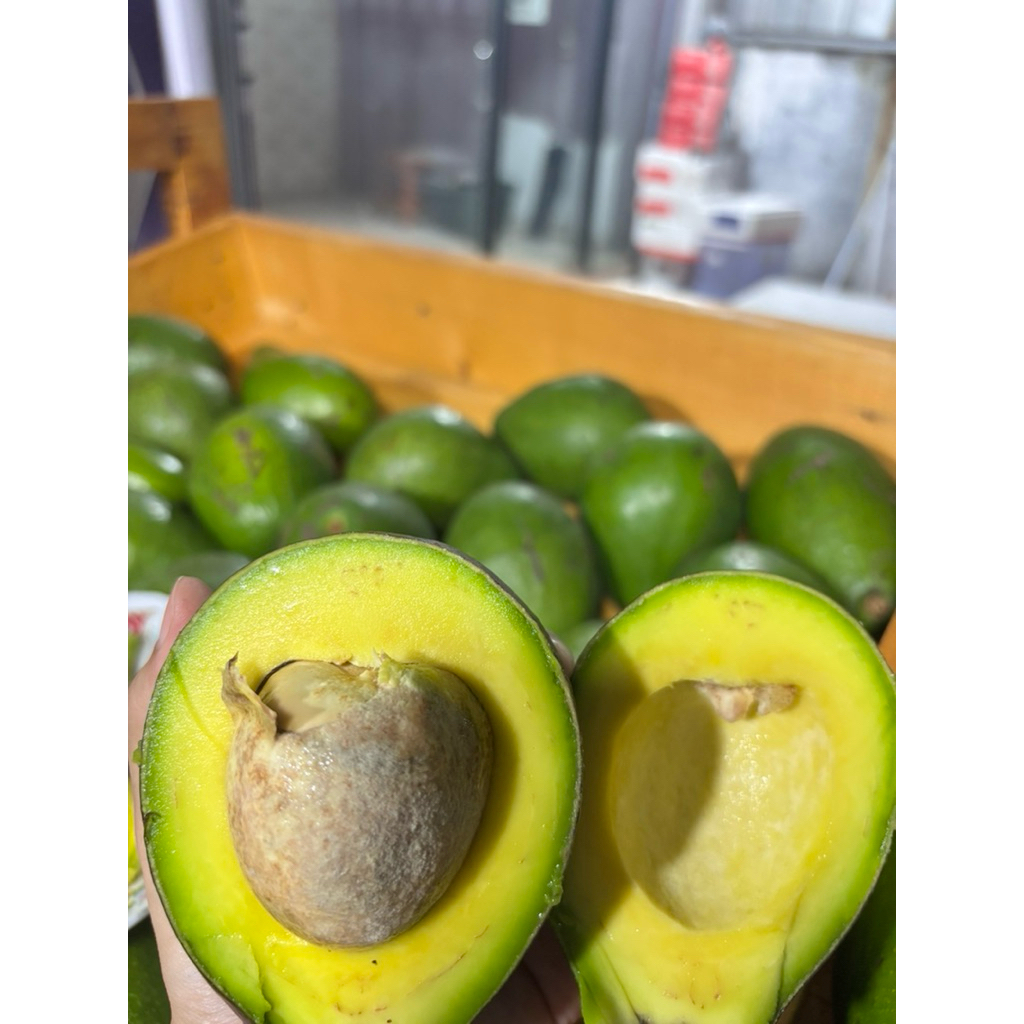 

Alpukat Mentega 1/2 kg