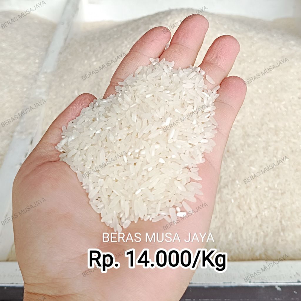 

Beras Ecer 14.000/Kg