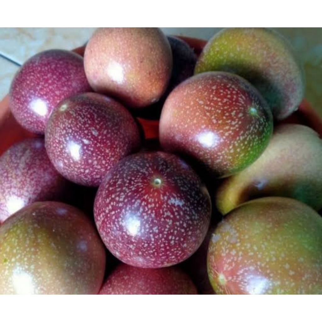 

Markisa unggu /markisa merah