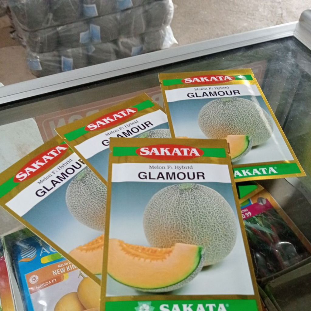 Benih Melon Glamour dari Sakata