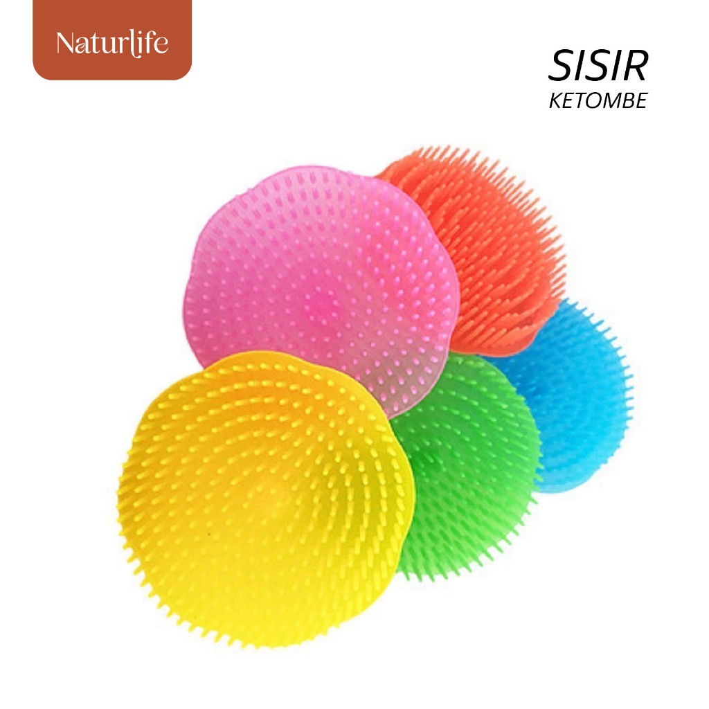 

Premium SISIR KETOMBE DARI NATURLIFE INDONESIA