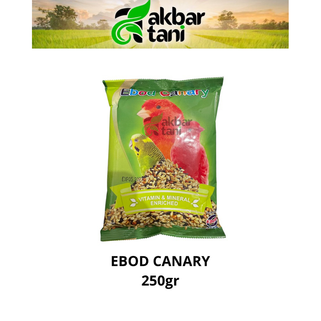 ebod canary seed hijau 250gr pakan burung kenari milet kenari ebod canary