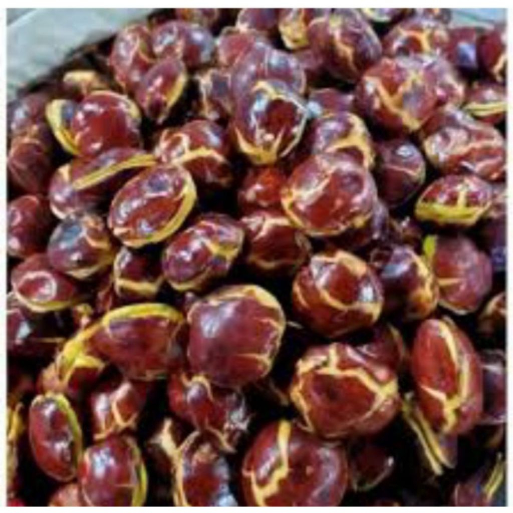 

jengkol super kemasan 500,gr