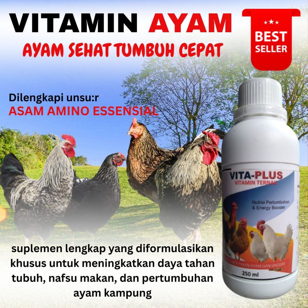 Vitamin Ayam Kampung Anakan & Dewasa Penggemuk Penambah Nafsu Makan Pertumbuhan Cepat