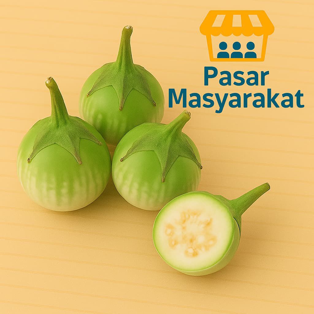 

Terong Hijau Lalap Segar Sayur Sayuran 250 Gram Pasar.Masyarakat