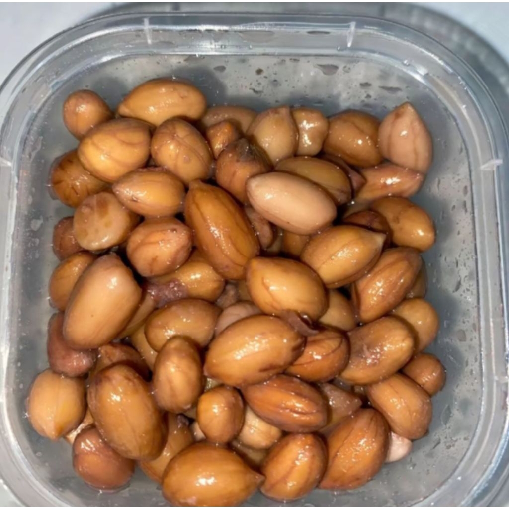 umpan ikan bawal kacang presto bawal