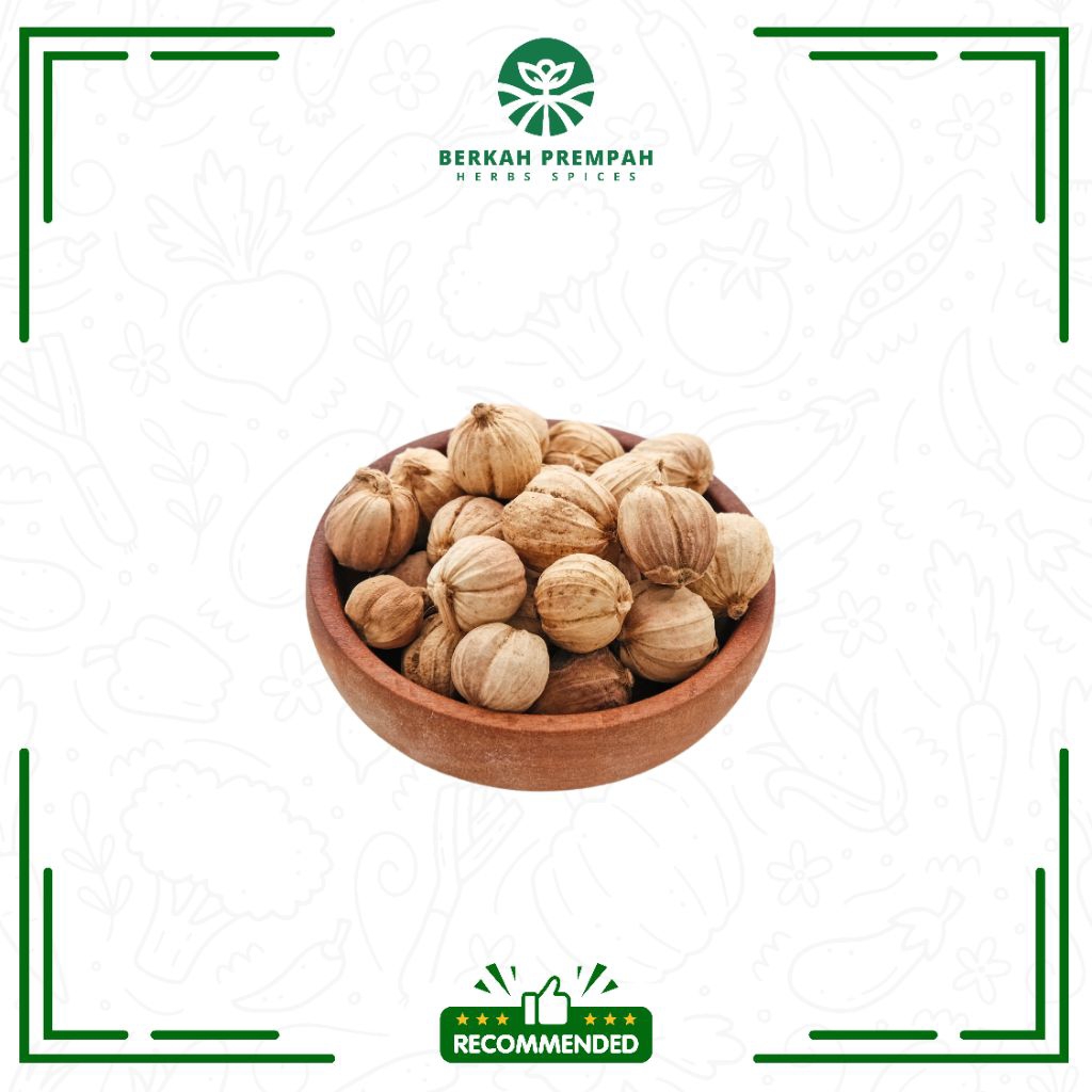 

Kapolaga / kapulaga putih super - Berkahprempah