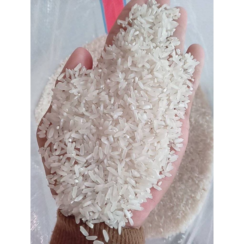 

BERAS PERAK IR 42 BERKWALITAS 500GR