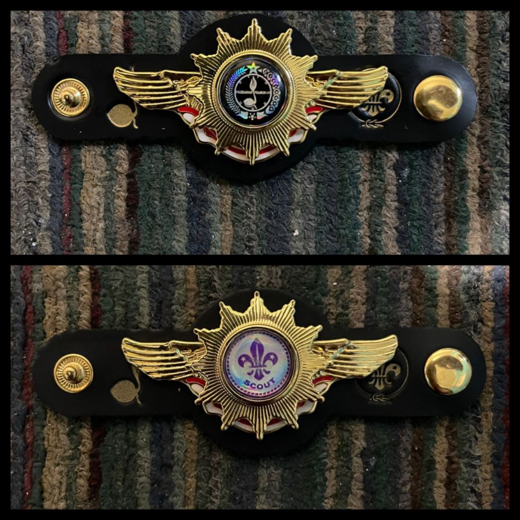 

cicin kacu garudan matahari tumpuk logam