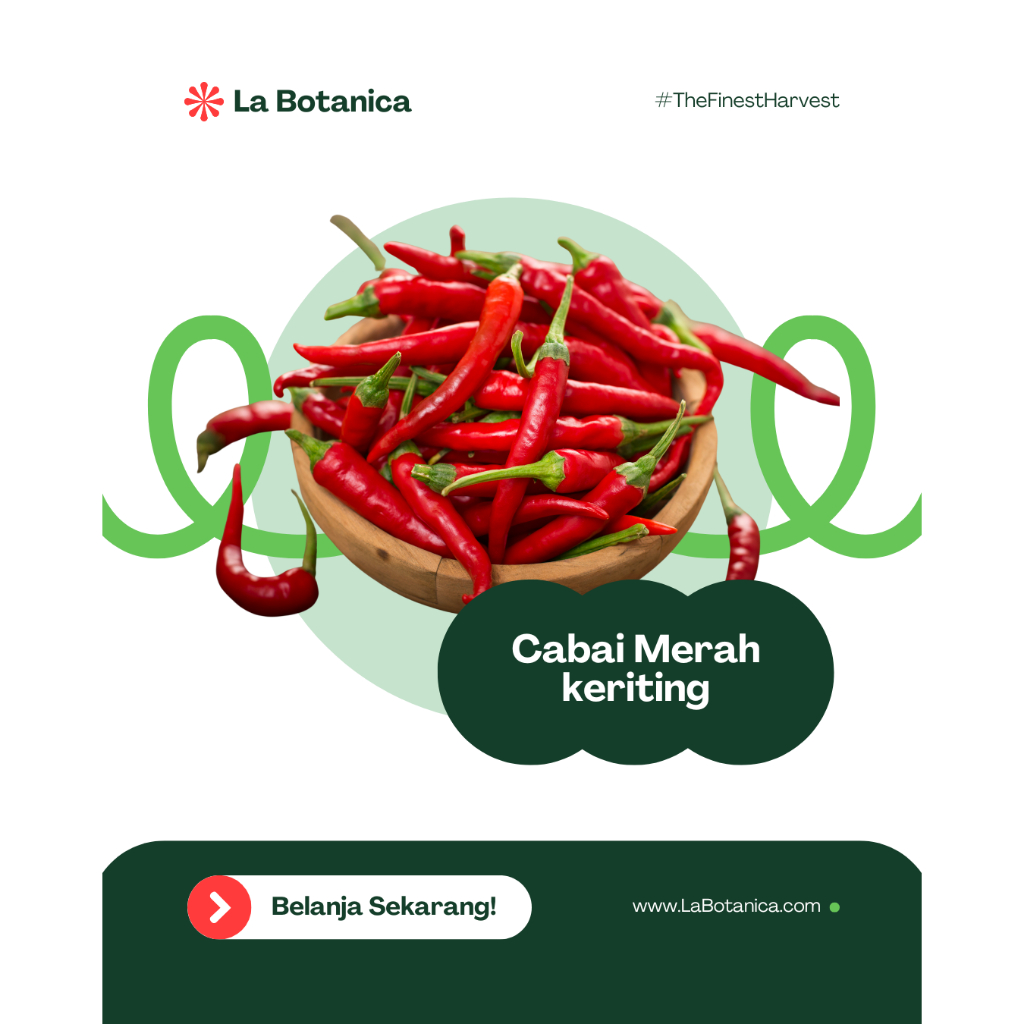 

INSTANT DELIVERY | Cabai Merah Keriting
