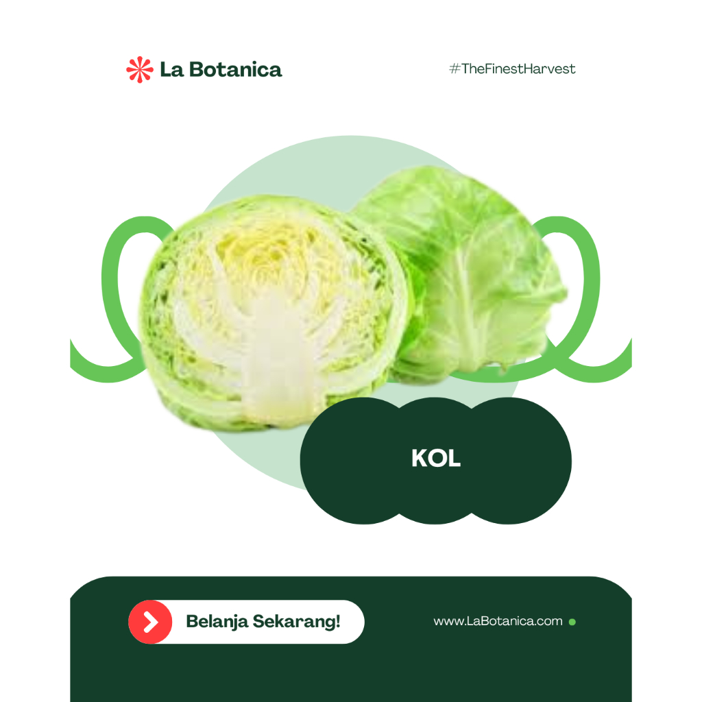 

INSTANT DELIVERY | Sayur Kol Segar