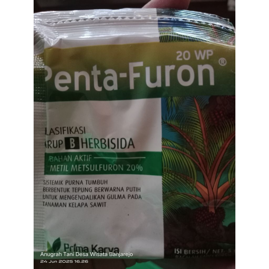 Penta furon herbisida pembasmi rumput