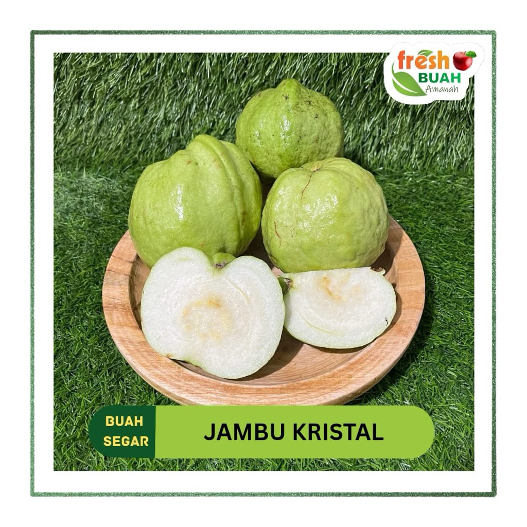 

Jambu Kristal | Buah | Fresh Buah Amanah