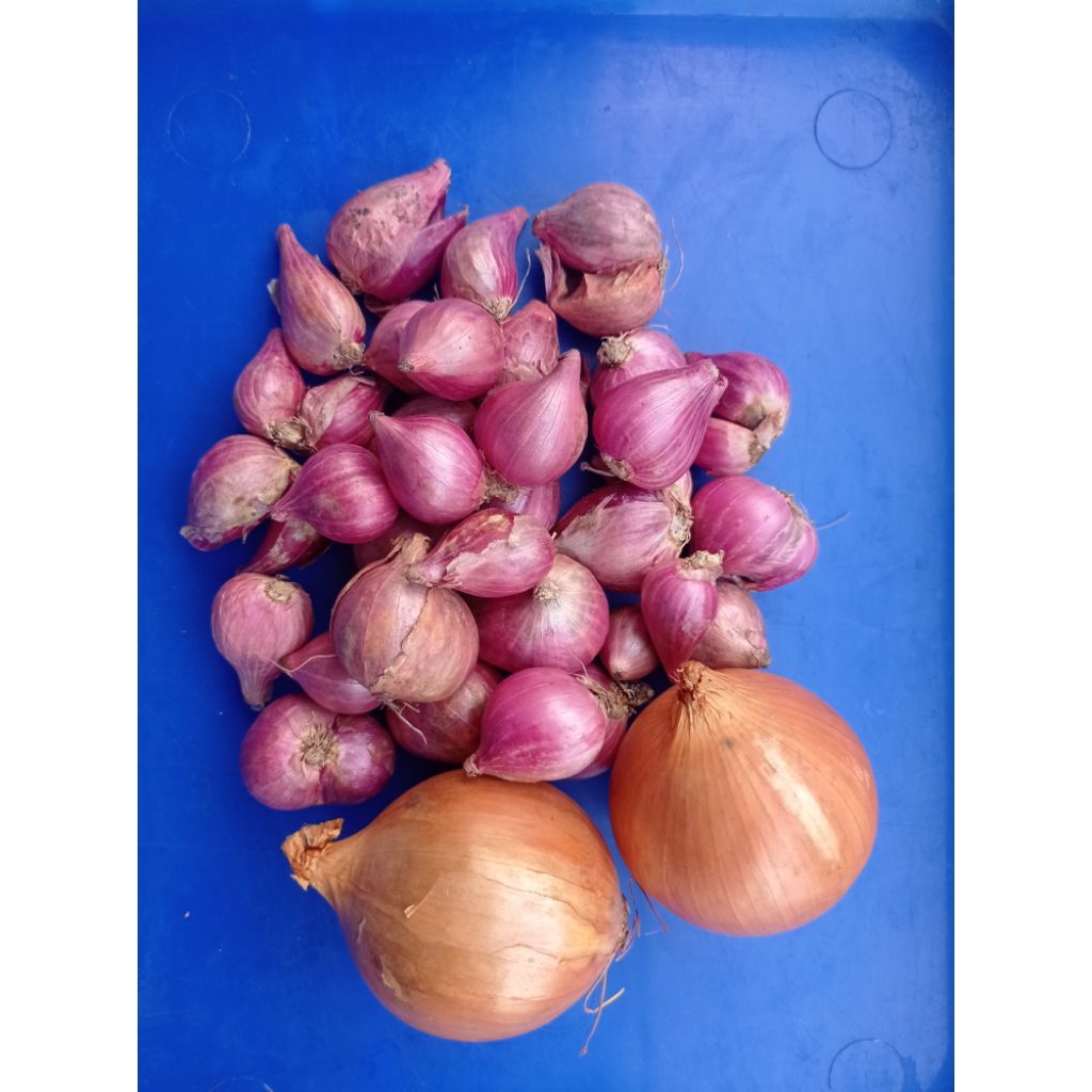 

Paket mix Bawang Merah + Bawang Bombai