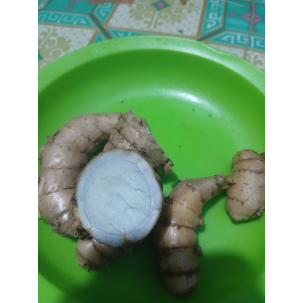 

Temu hitam atau kunyit hitam segar