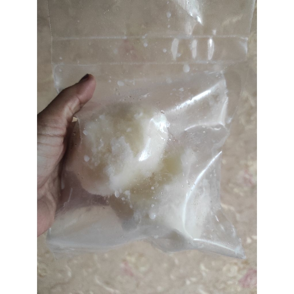 

RUSTICHELLA FIOR DI LATTE MOZARELLA/KEJU MOZARELLA 250GR