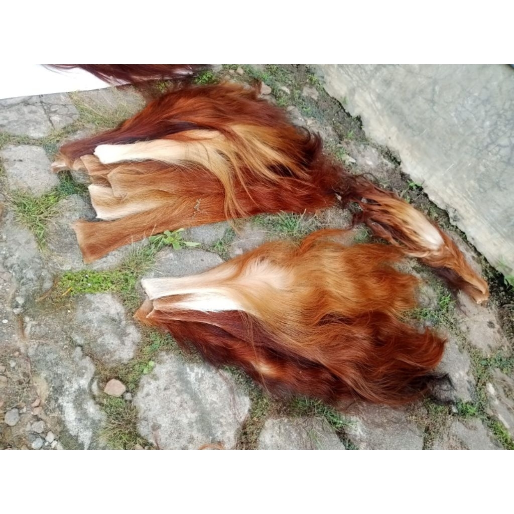 Ekor/Gubat/Rambut sapi super warna random (Tanpa garam&Tidak bau)