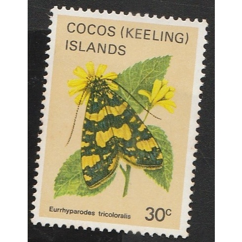 

A 12493 SATU BUAH PRANGKO COCOS KEELING ISLANDS NOMINAL 30C TEMA SATWA KUPU-KUPU EURRHYPARODES TRICOLORALIS DENGAN KONDISI BELUM ADA CAP