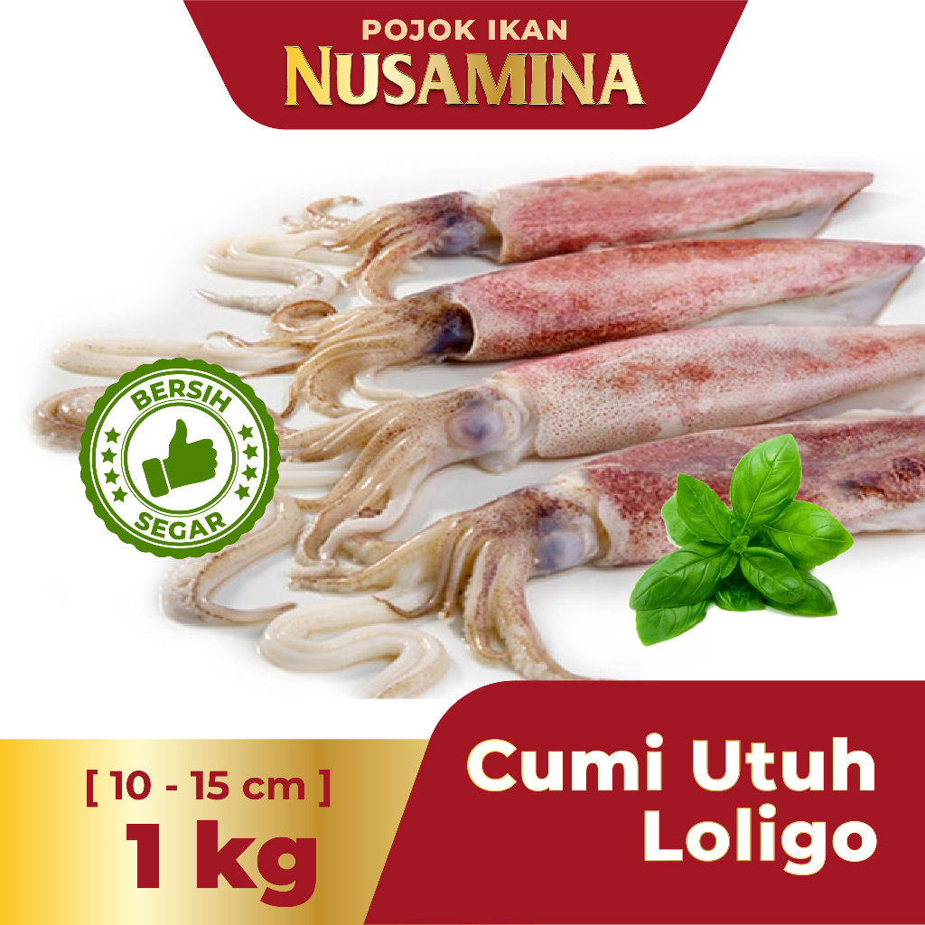 

Nusamina Cumi Utuh/Cumi Loligo Bersih Segar Frozen [Size 10-15 cm] /1kg