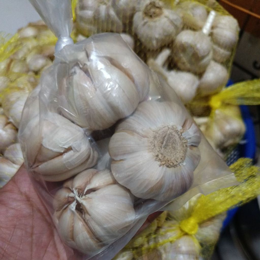 

bawang putih 5000
