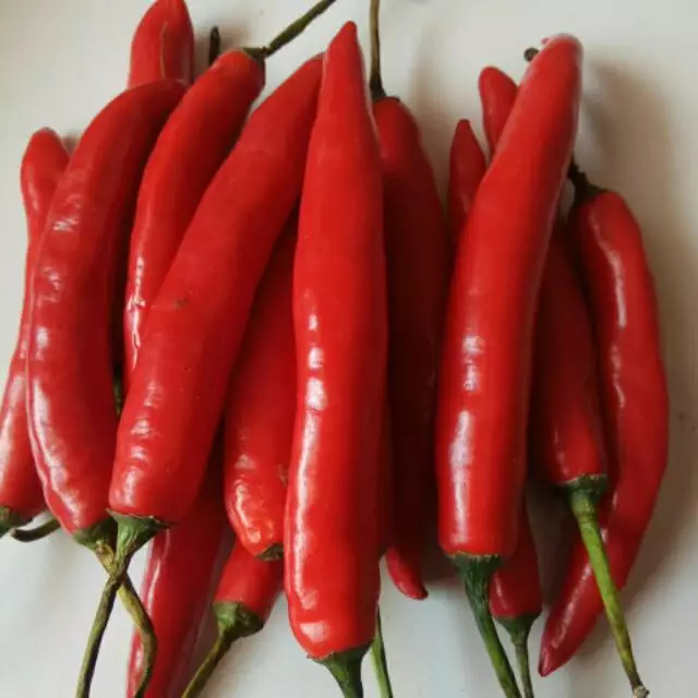 

Cabe Merah Besar 100gr
