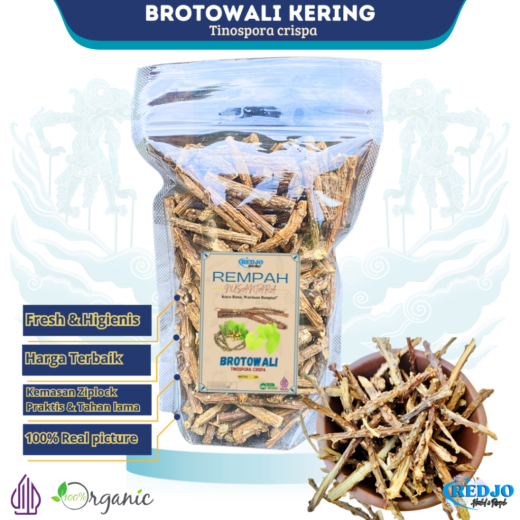 

Brotowali Kering Akar Ali Ali Kualitas Bagus Batang Brutowali Bratawali JSR 100% Premium Quality