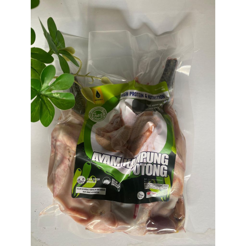

Ayam Kampung Organik Lokal, non-GMO, non-pesticide free range