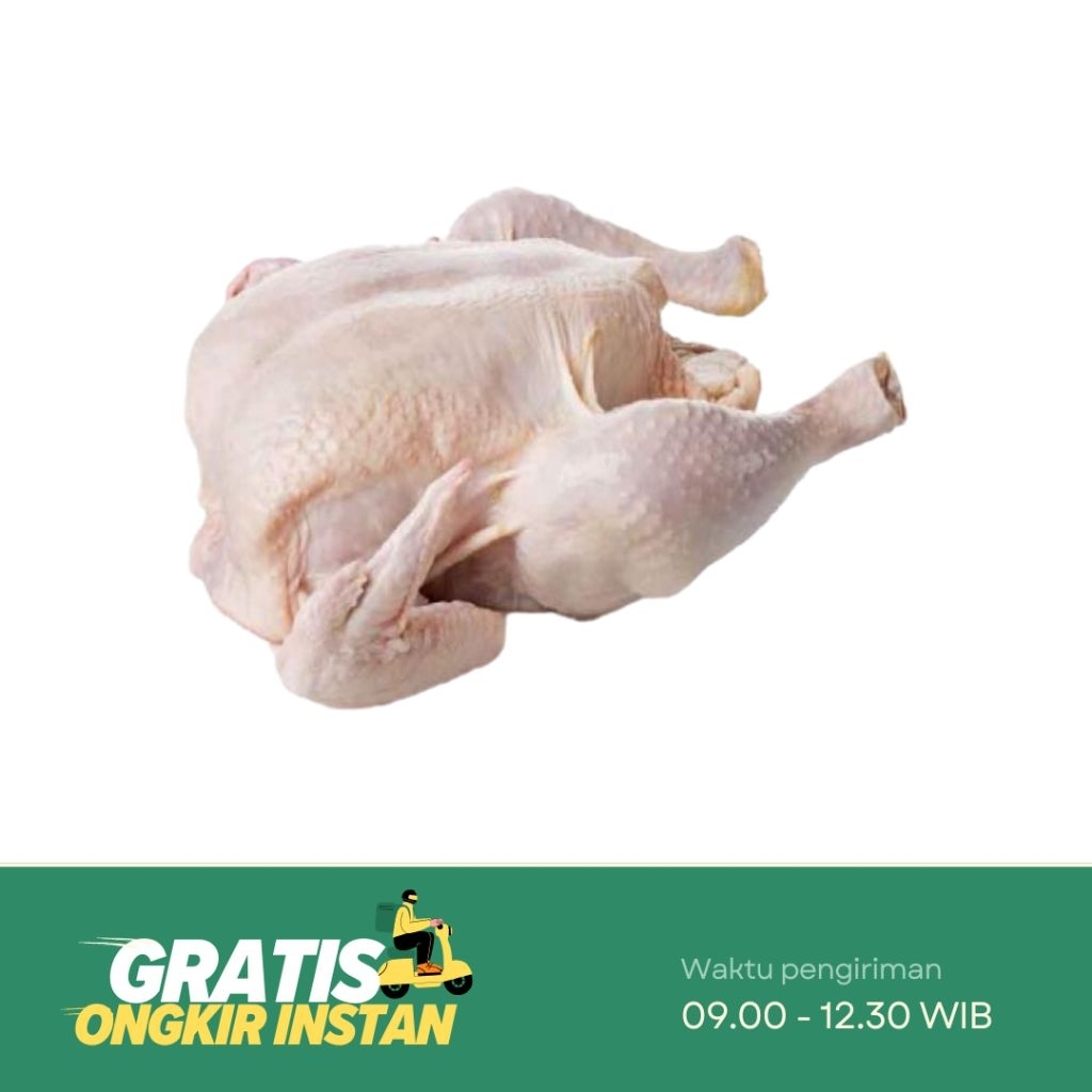 

Ayam Potong Segar Dada / Paha