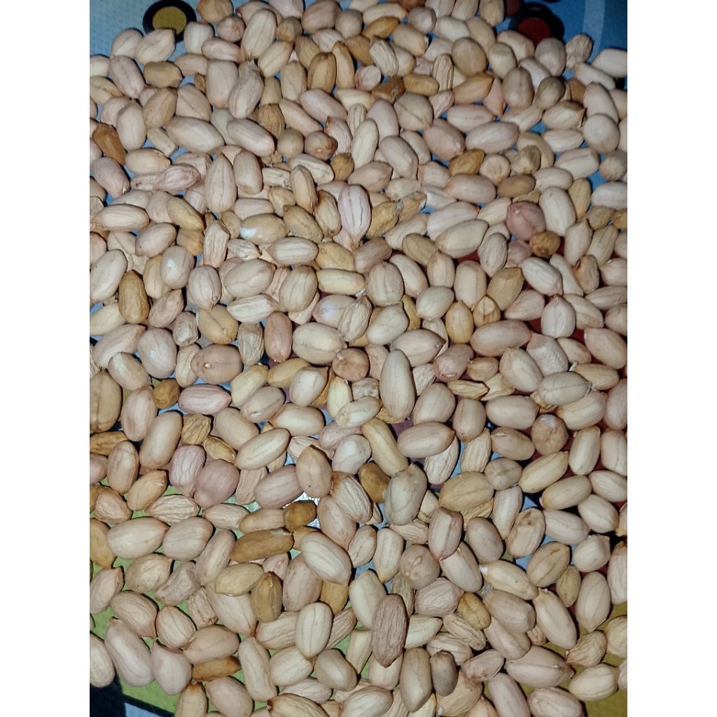 

kacang tanah kupas