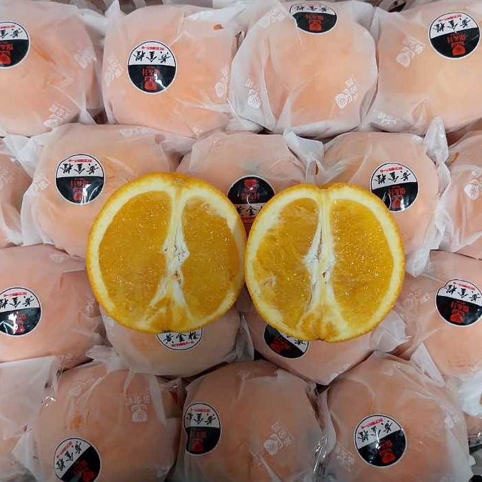 

Jeruk Navel Per Keranjang