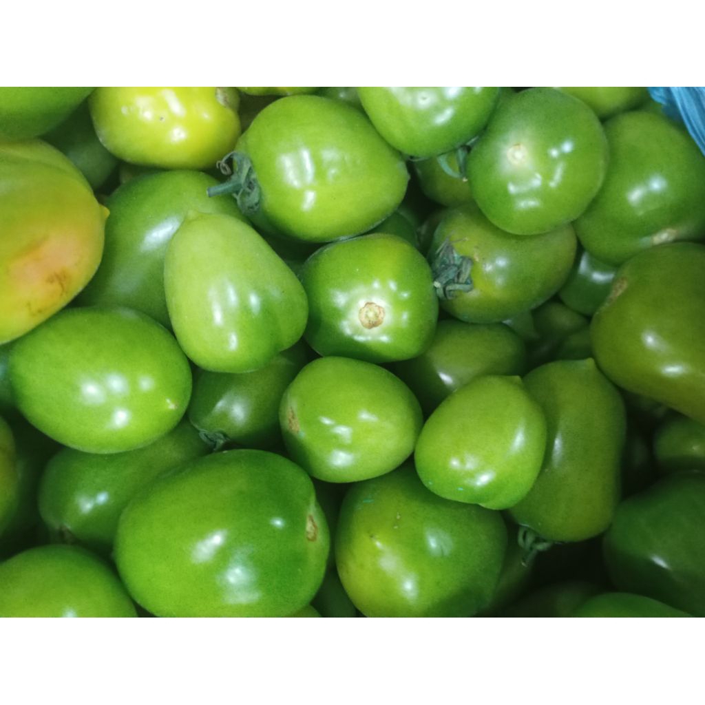 

Buah Tomato Tomat Hijau segar