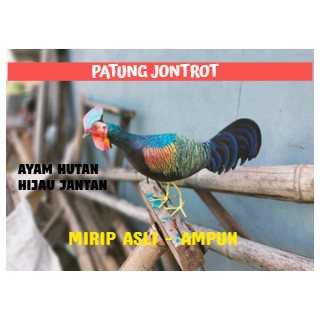 PATUNG JONTROT AYAM HUTAN HIJAU JANTAN - JONTROT AYAM HUTAN HIJAU JANTAN