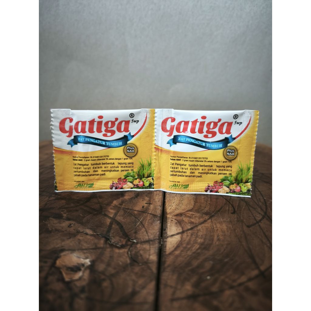 Zpt GATIGA 5wp 2gram