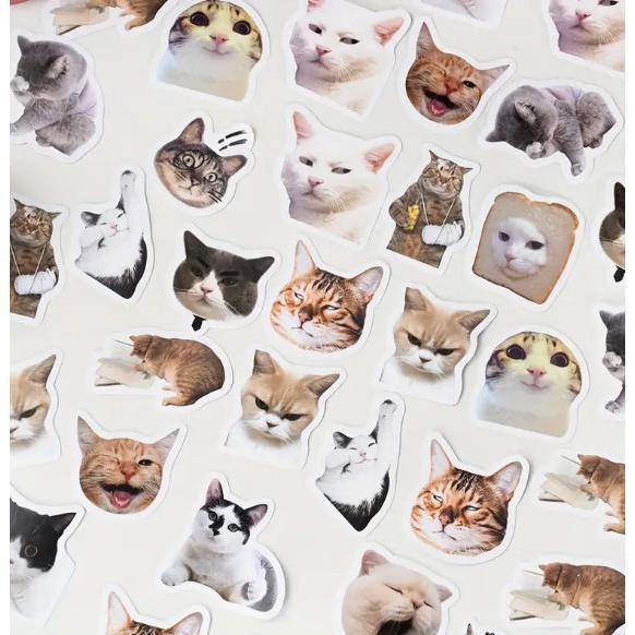 

Sticker Pack Isi 46 Lembar Meow Adventure Scrapbook Journal Stiker Tempel Gambar Motif Cats