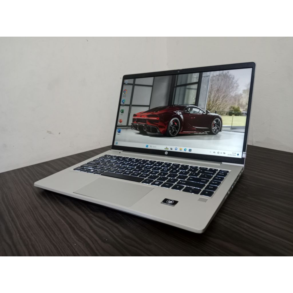 HP PROBOOK 445G9 AMD RYZEN 5PRO 5625U VGA AMD RADEON GRAPHICS 12 CPUS MULUS
