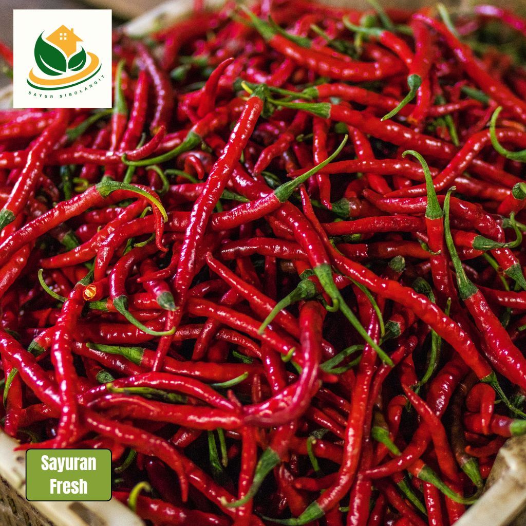 

Cabe Merah, Sayur Online, Cabe Merah Keriting, Cabe Merah Besar, Cabai, Cabe