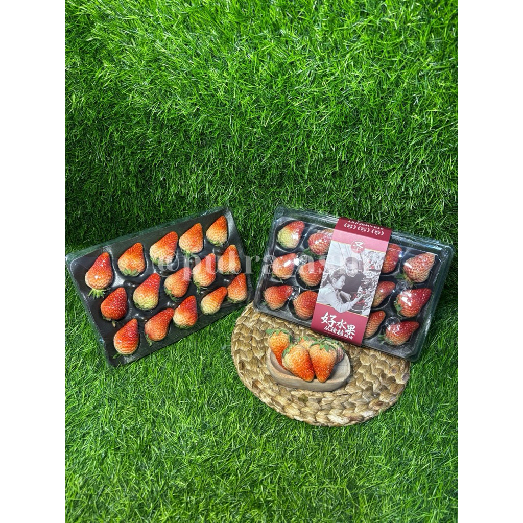 

Fresh Strawberry China 300gr