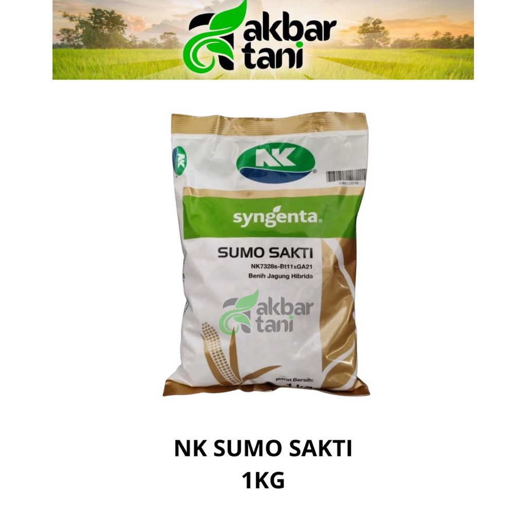 bibit jagung nk sumo sakti 1kg benih jagung nk7328 sakti sumo syngenta