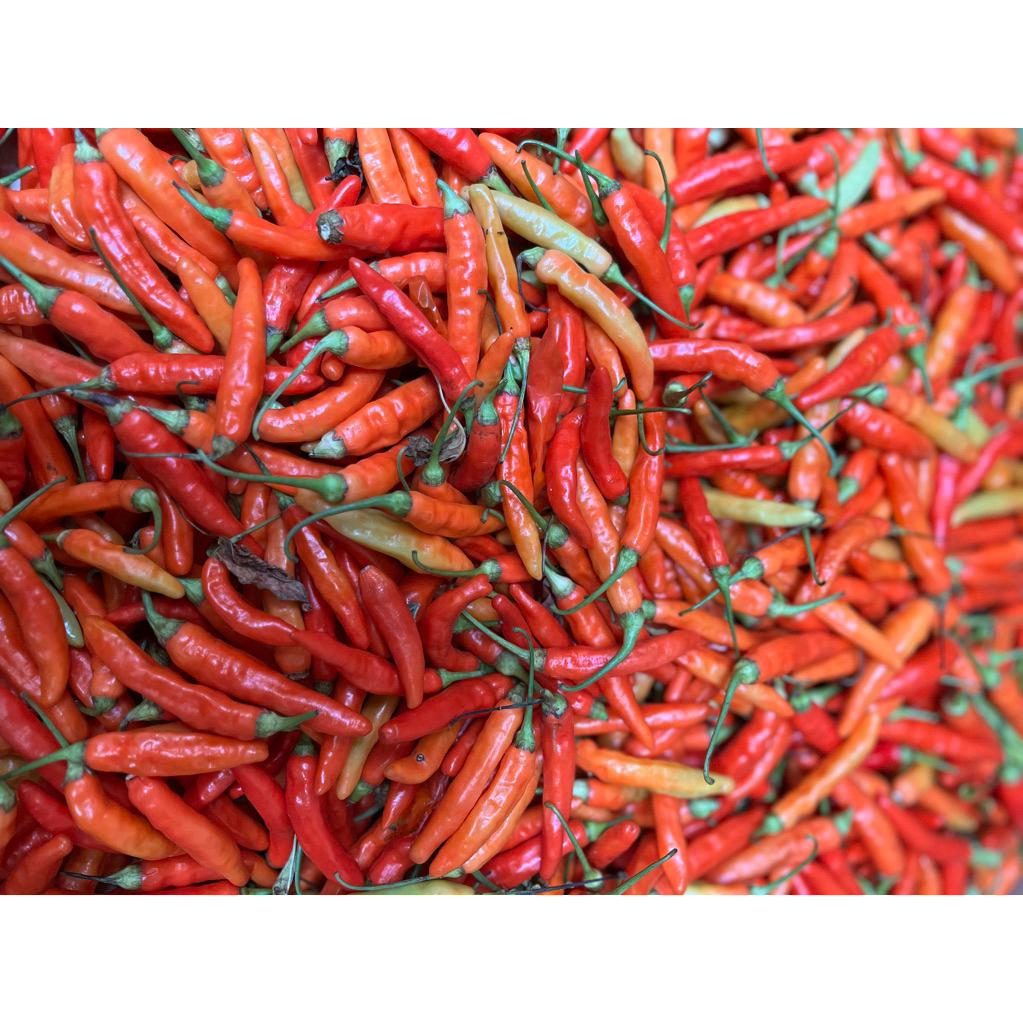 

Cabe Rawit Setan 250g fresh