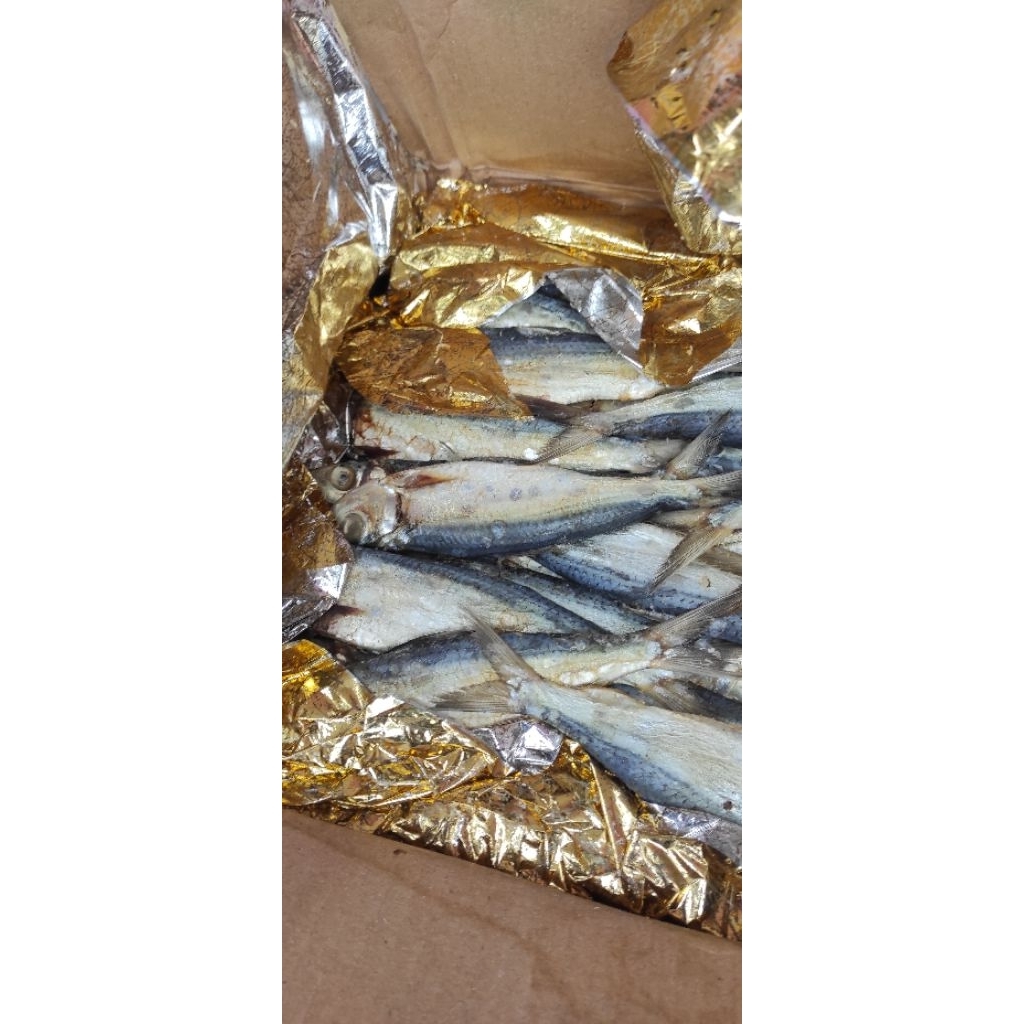 

Ikan Asin Jui Belitung/ Belitong Ikan Asin Peda / Ikan Asin Klotok / Ikan Asin Sarden Murah Super Fresh