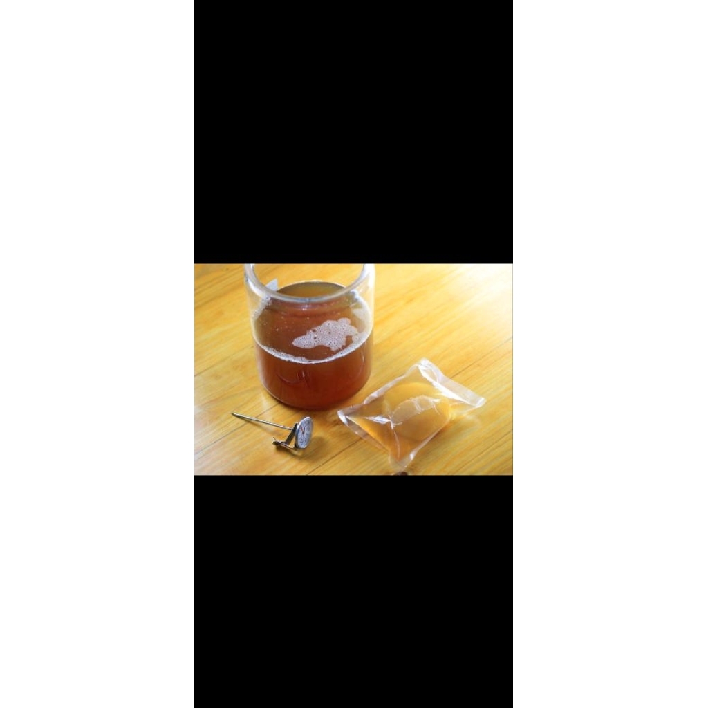 

teh fermentasi(kombucha)