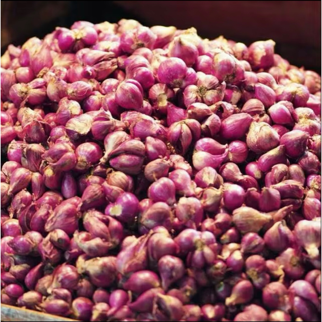 

Bawang Merah Super 500gr-1kg