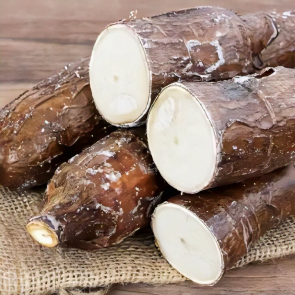 

Singkong Sapi Kuru/Singkong Genderuwo Karihkil Segar Isi 250 Gram