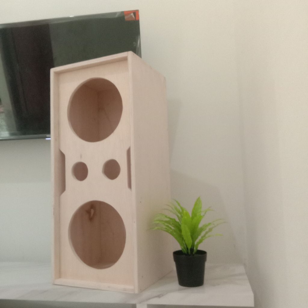 Box Speaker 10 inch Double + 2 Lubang Tweeter