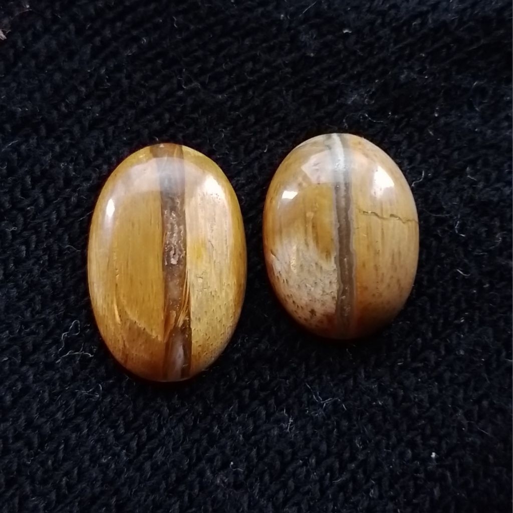 Batu Fosil Kelor Banyumili Kendit Tembus Unik Antik