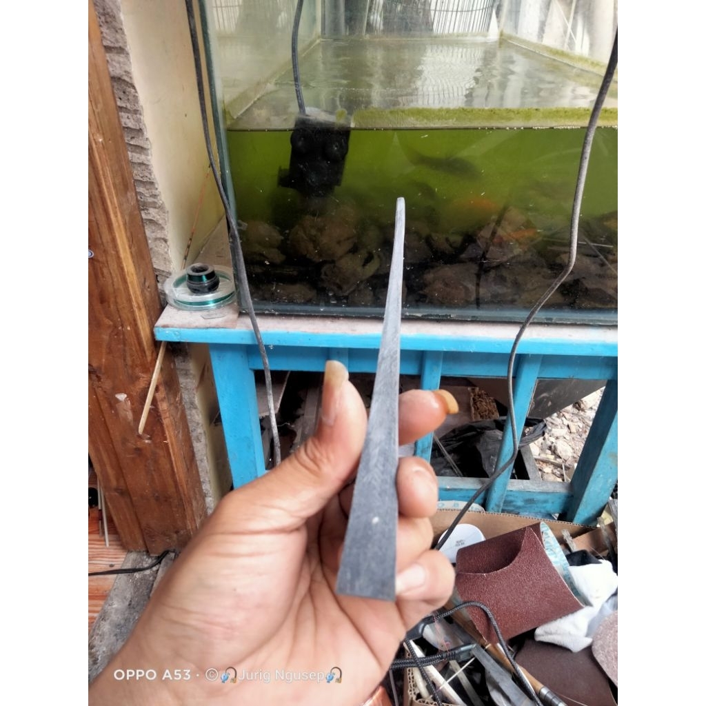 gagang joran wader stengah jadi bahan tanduk kebo asli 20-23cm