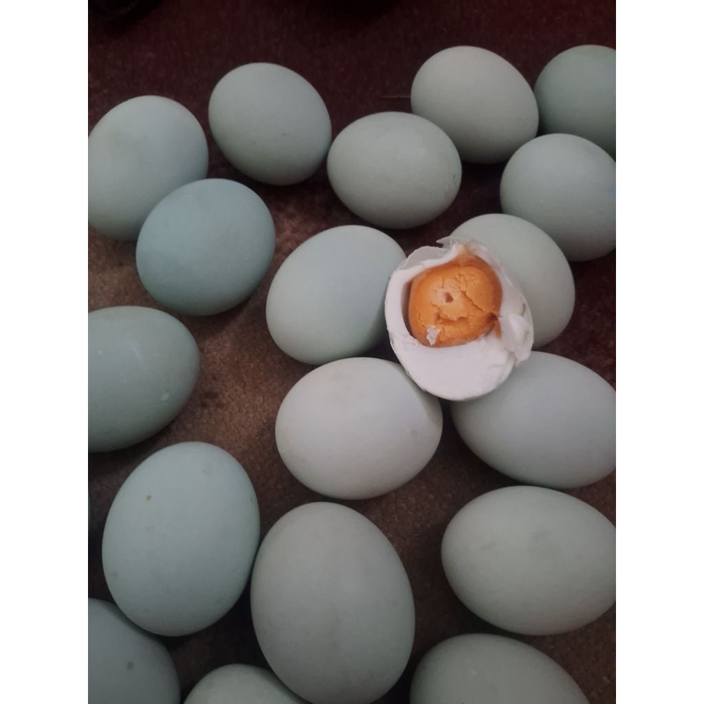 

telur asin / ndog asin