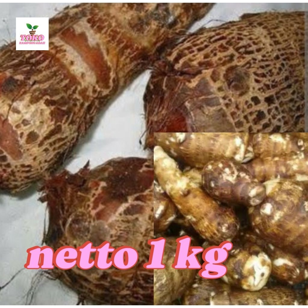

umbi talas muda empuk fresh 1 kg