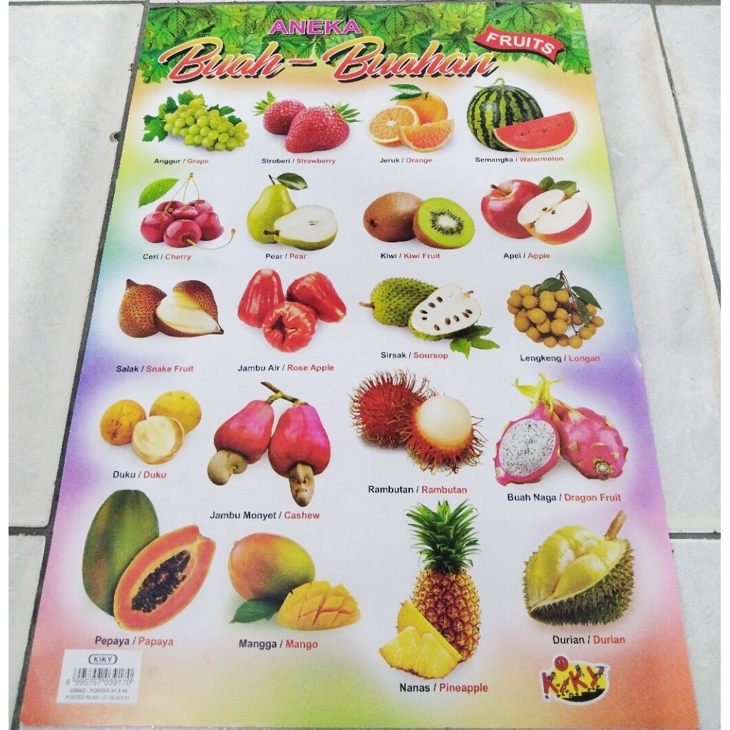 

POSTER BUAH / POSTER ANEKA BUAH-BUAHAN
